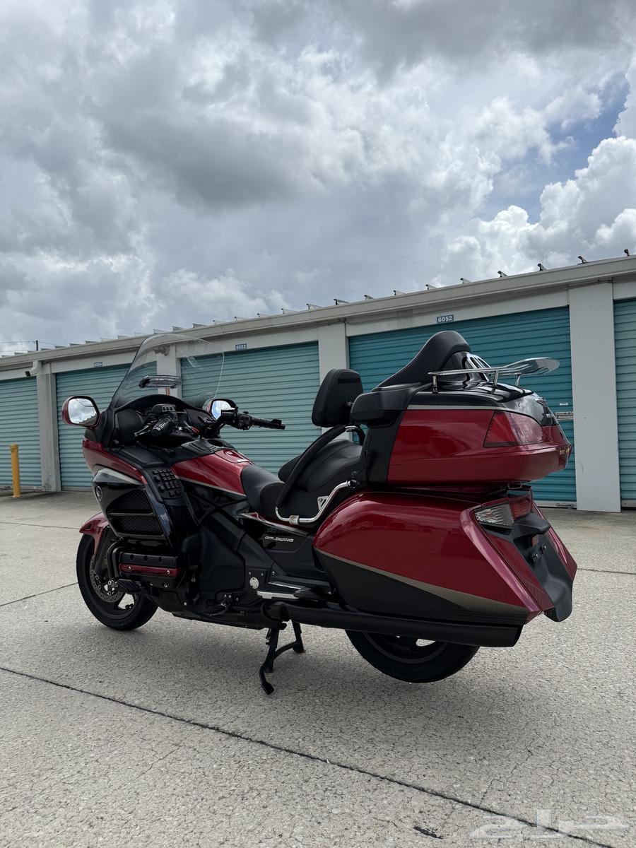 قولد وينق 201564371964851971114