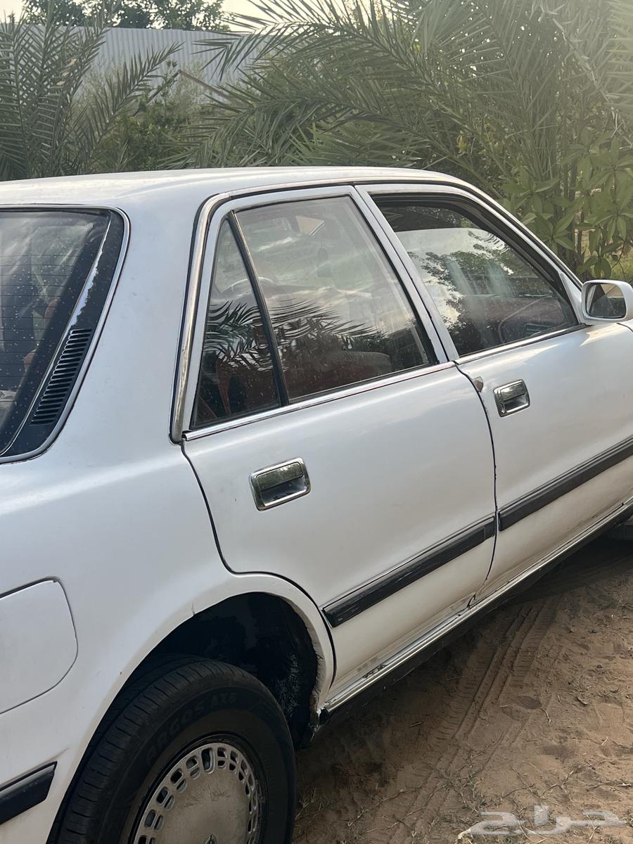 Cressida Model 89.64371089078019114