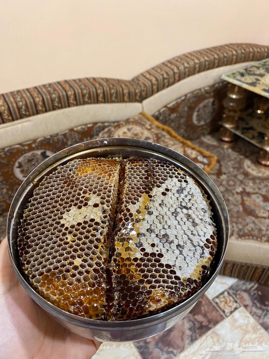 عسل يمني ع الشرط64144882878594110
