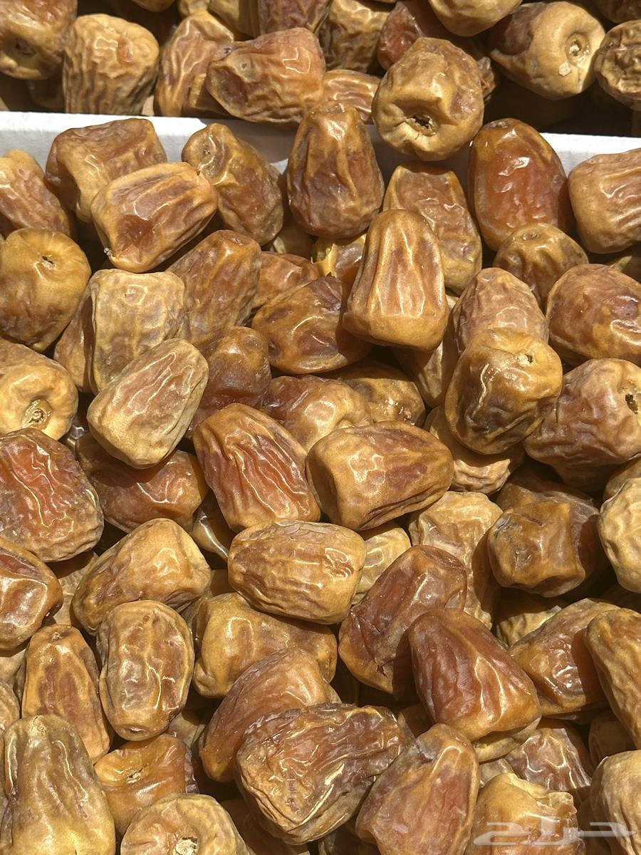 Sukkari Dates64141912137473112