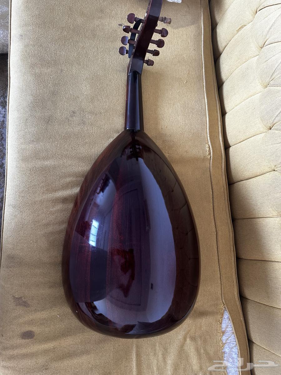 Island Oud64141534698882110