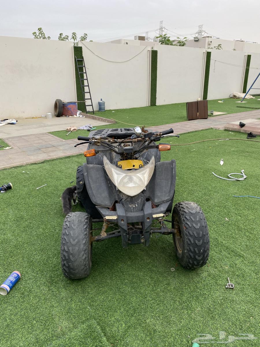 دباب سويدي للبيع64370957823491113