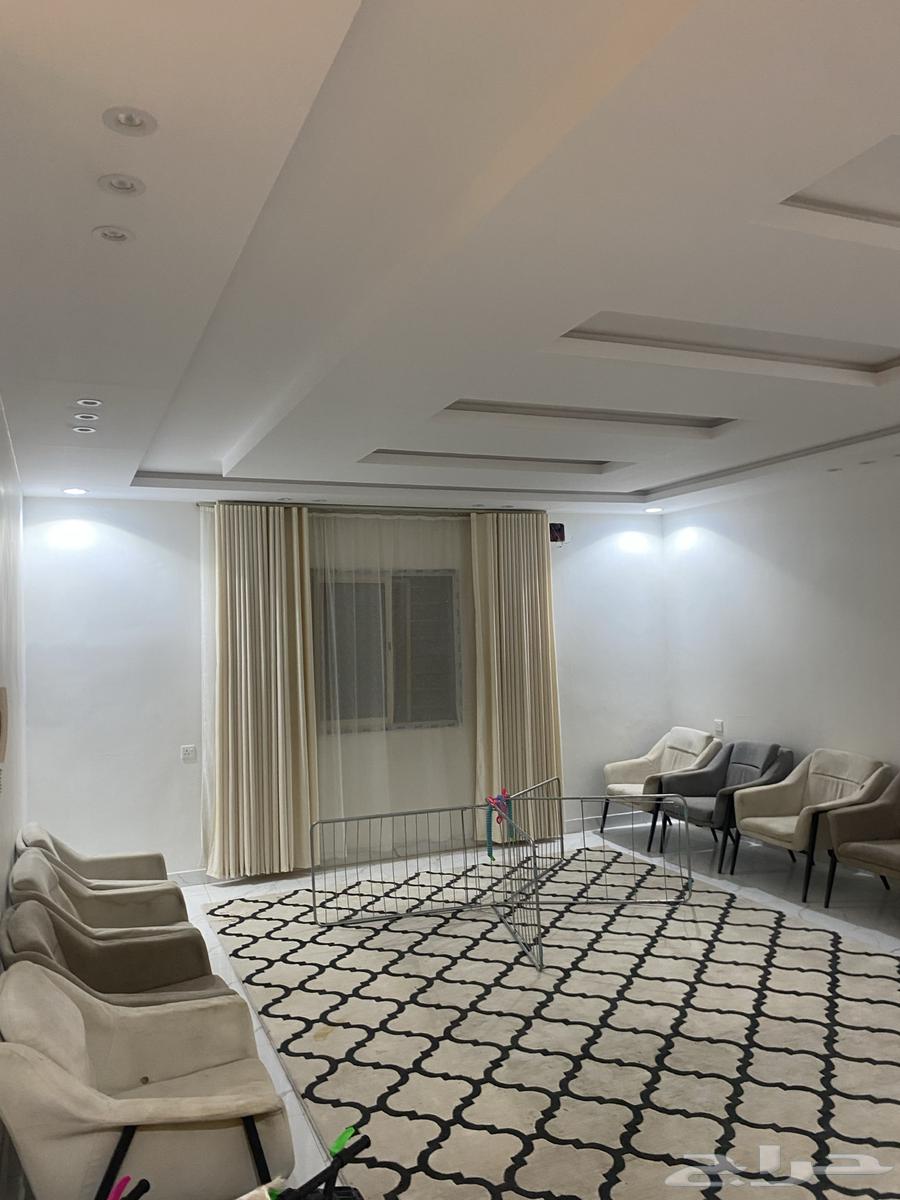 كراسي كنب للبيع 15 حبه تقريبا  الحبه 40 ريال64144560037506111