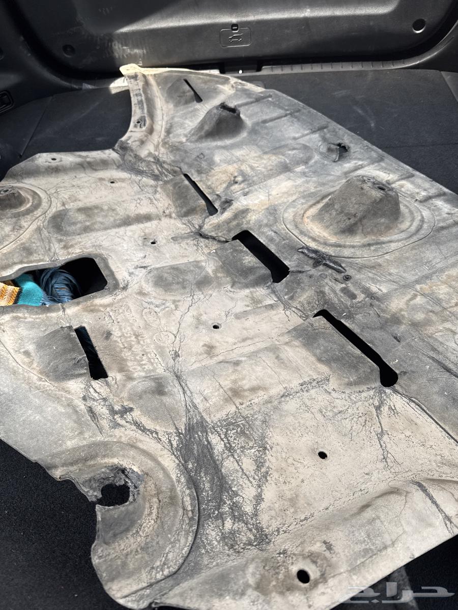 بطانة سبورتاج 202064363577125507111