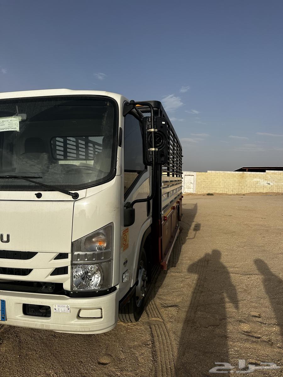 دانه ايسوز موديل2023 شبه الوكاله64363621208577111