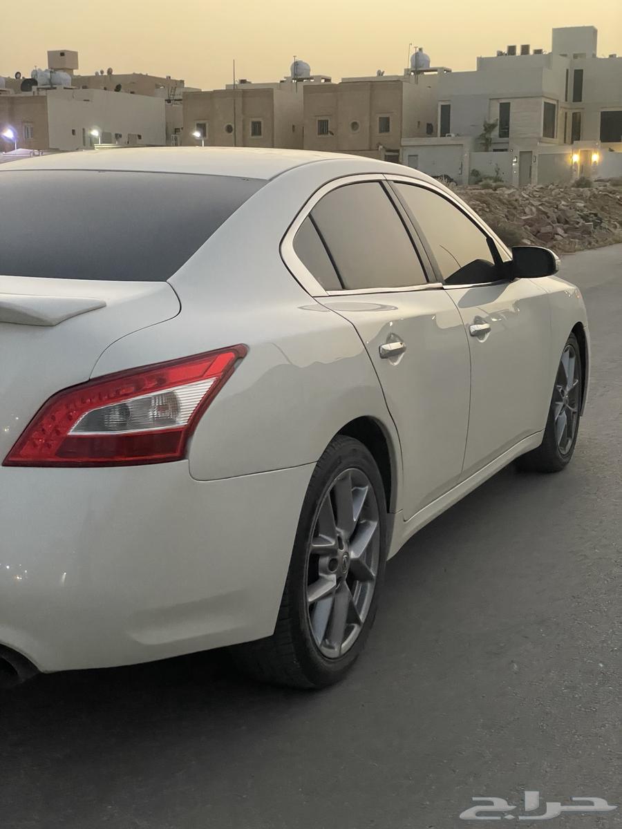 مكسيما للبيع 201064370583356545114