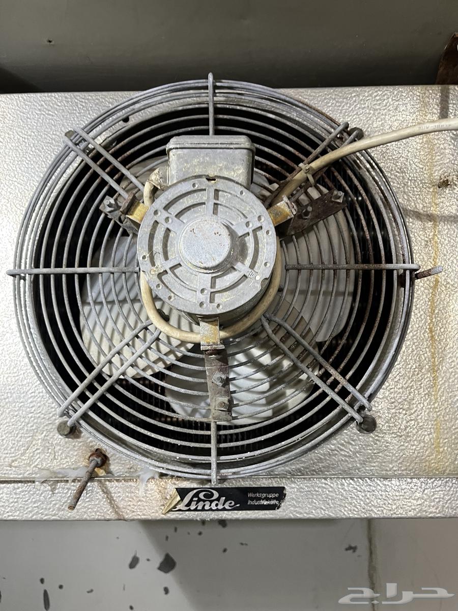 Tamoor Refrigerator Cooling and Freezing64141551548929113