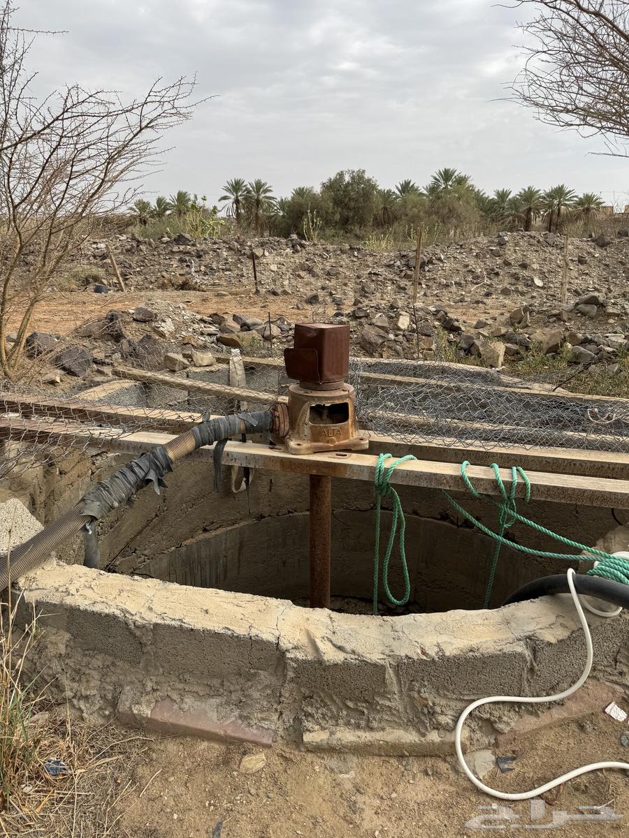 للبيع64366219421442110