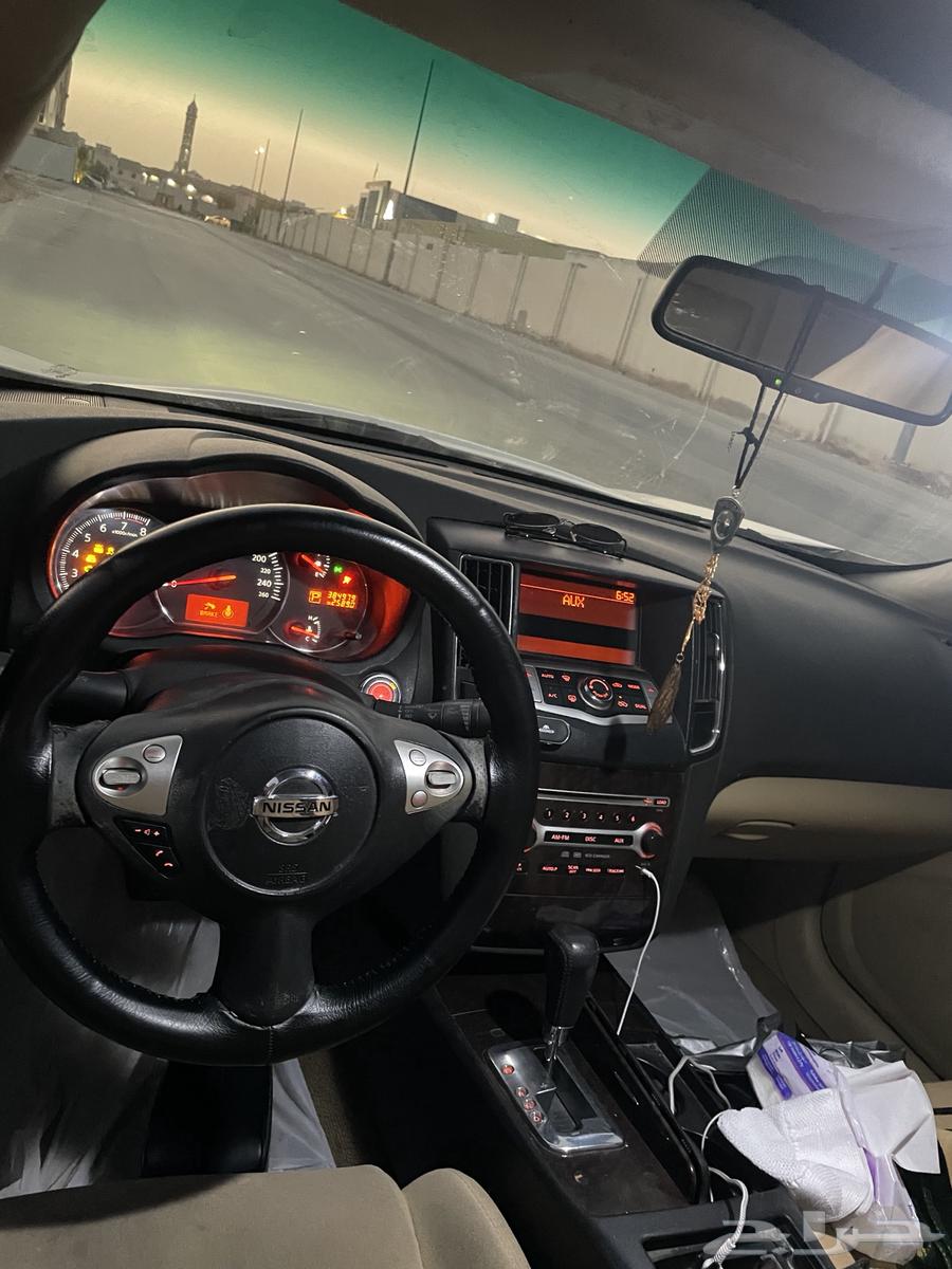 مكسيما للبيع 201064370583356545111