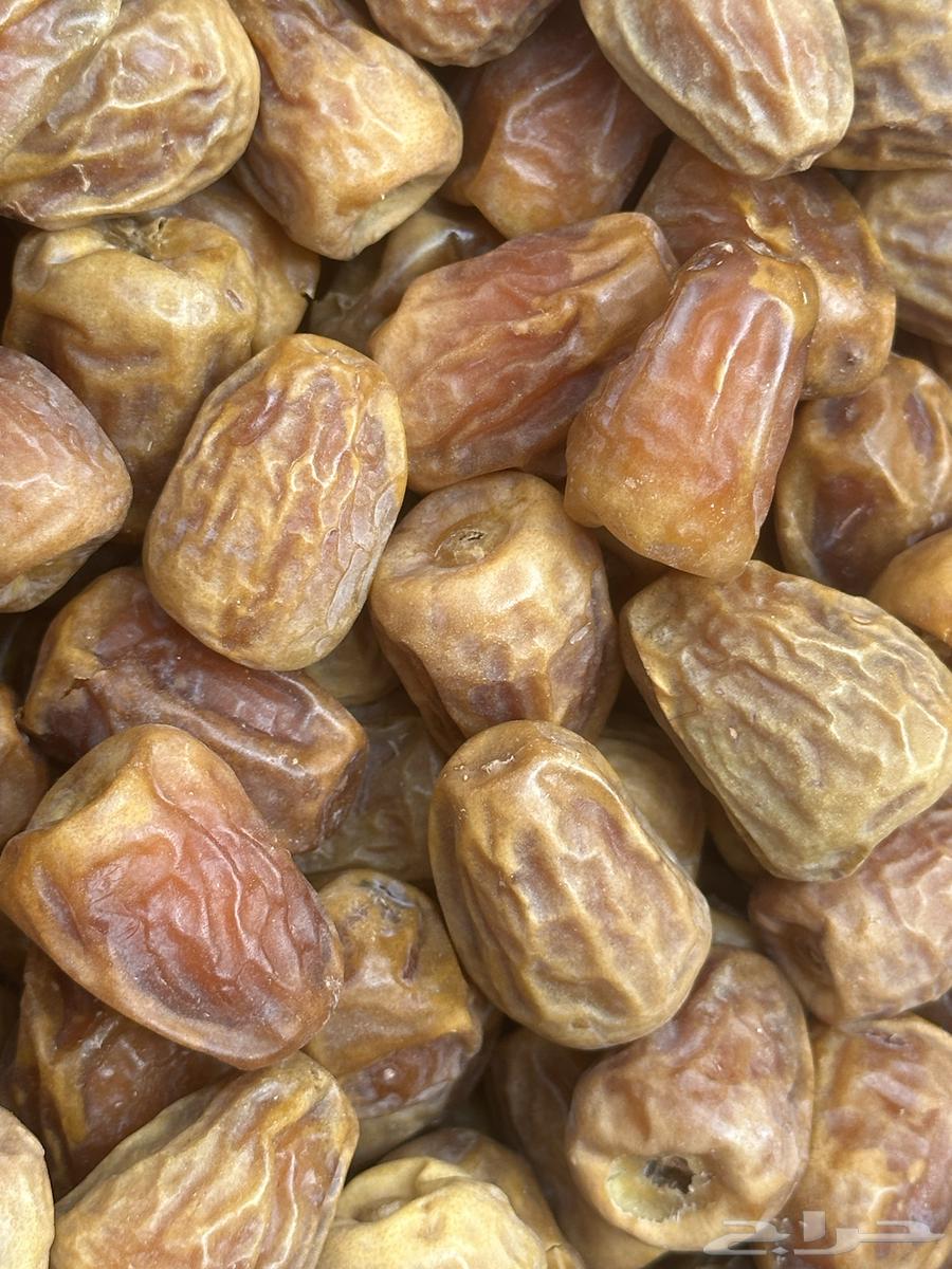 Sukkari Dates64141912137473110