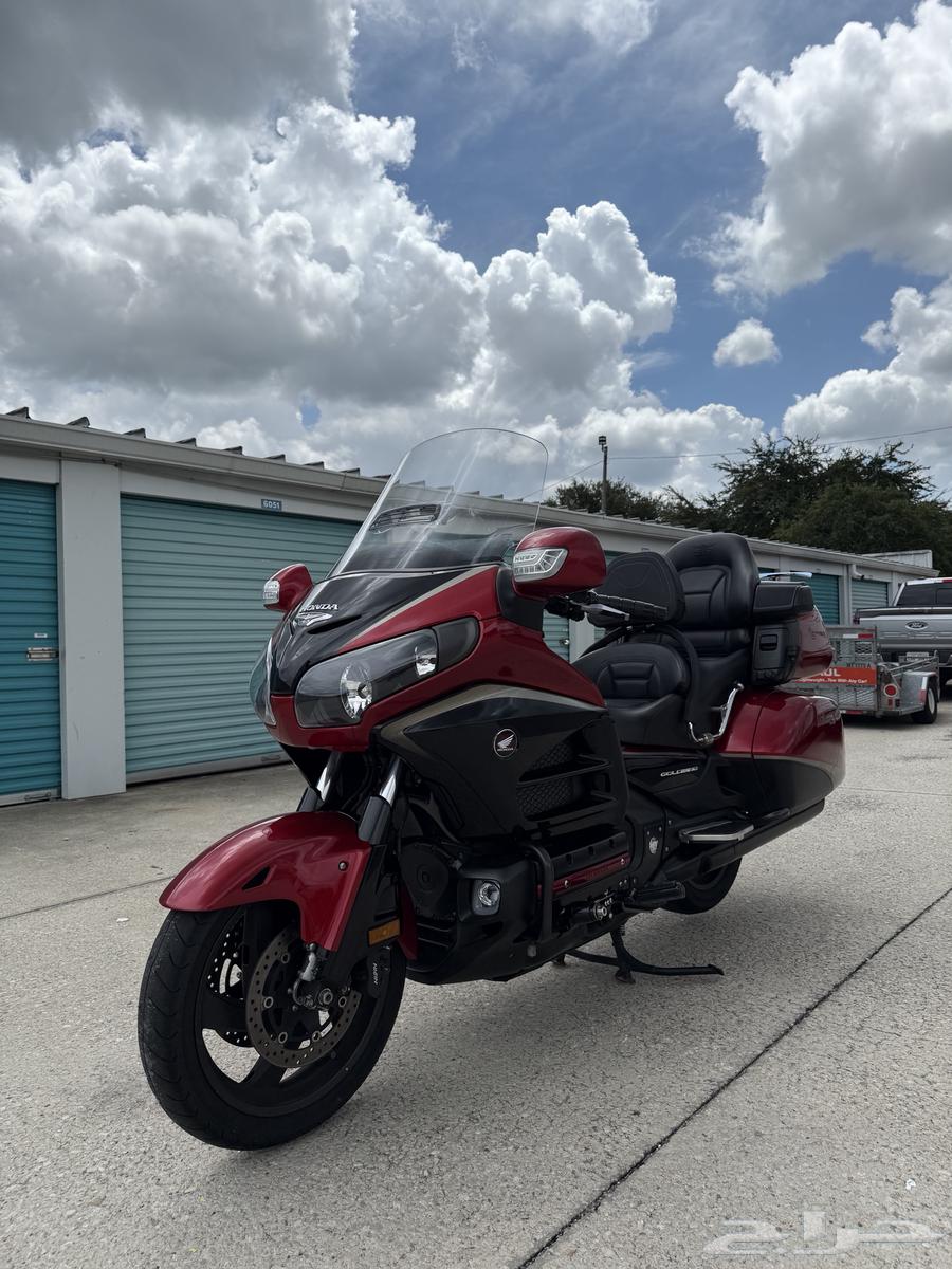 قولد وينق 201564371964851971112