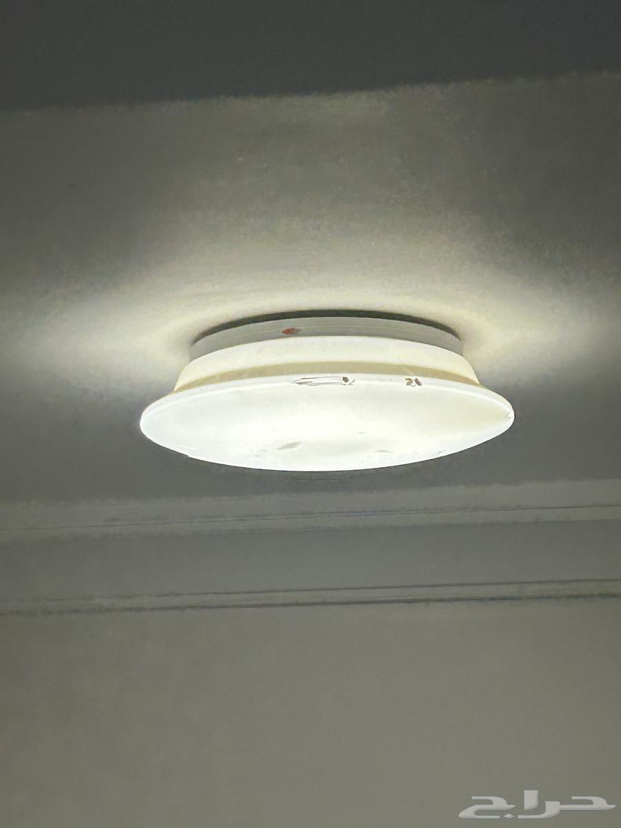 Lamps and bulbs for applications64359546965761113