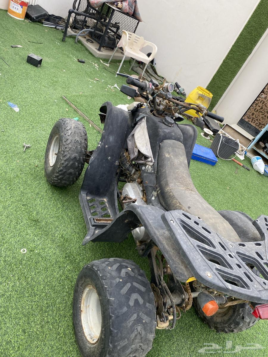 دباب سويدي للبيع64370957823491114