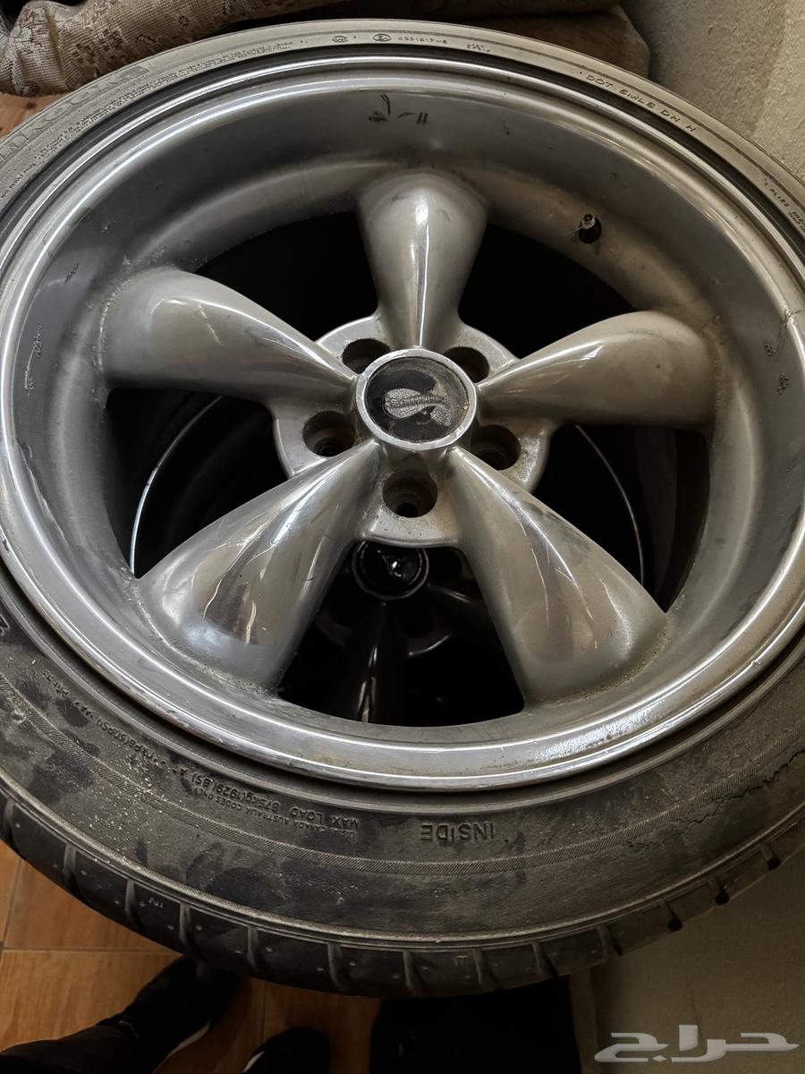 للبيع جنوط موستنق بوليت شمبر عريض64369454857731111