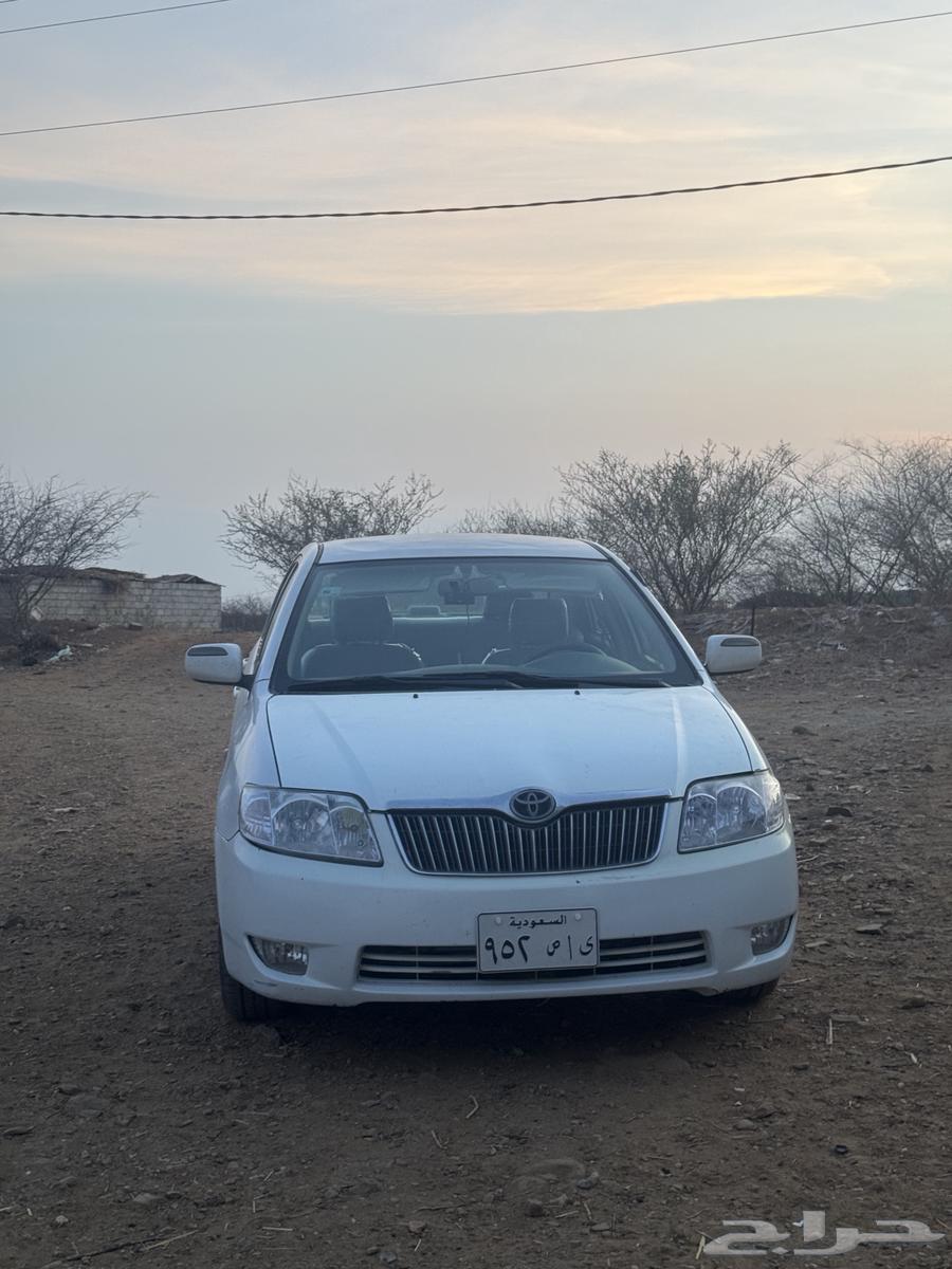 Board64359604868993110