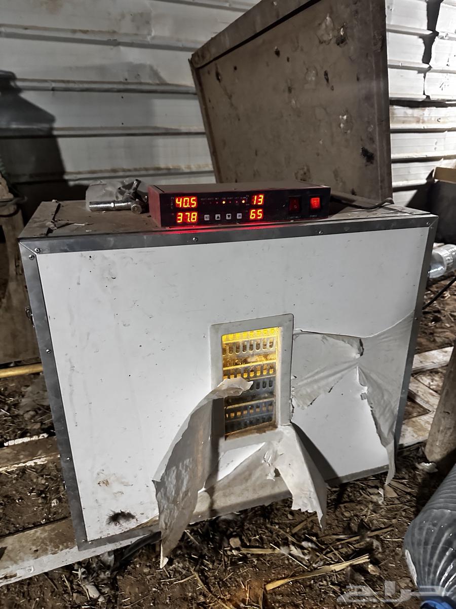 New agency egg incubator, official warranty available64143665864193113