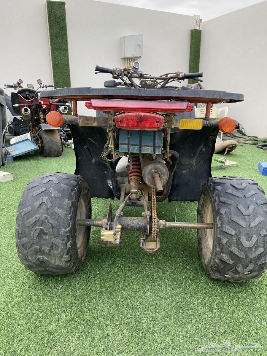 دباب سويدي للبيع64370957823491111