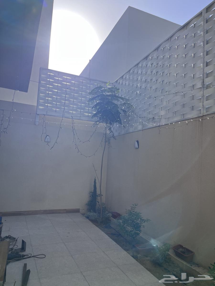 Iron fence64141550752515111