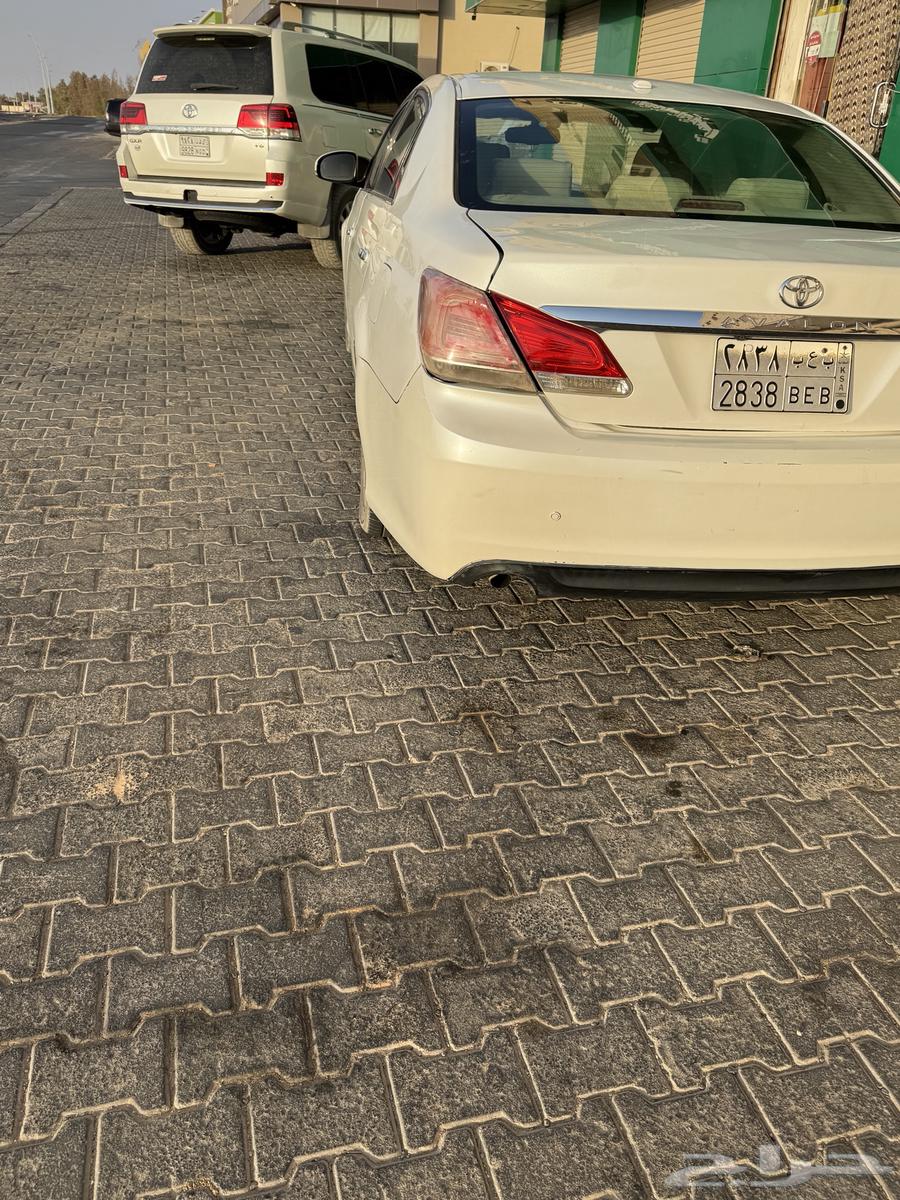 Avalon64370770260481114