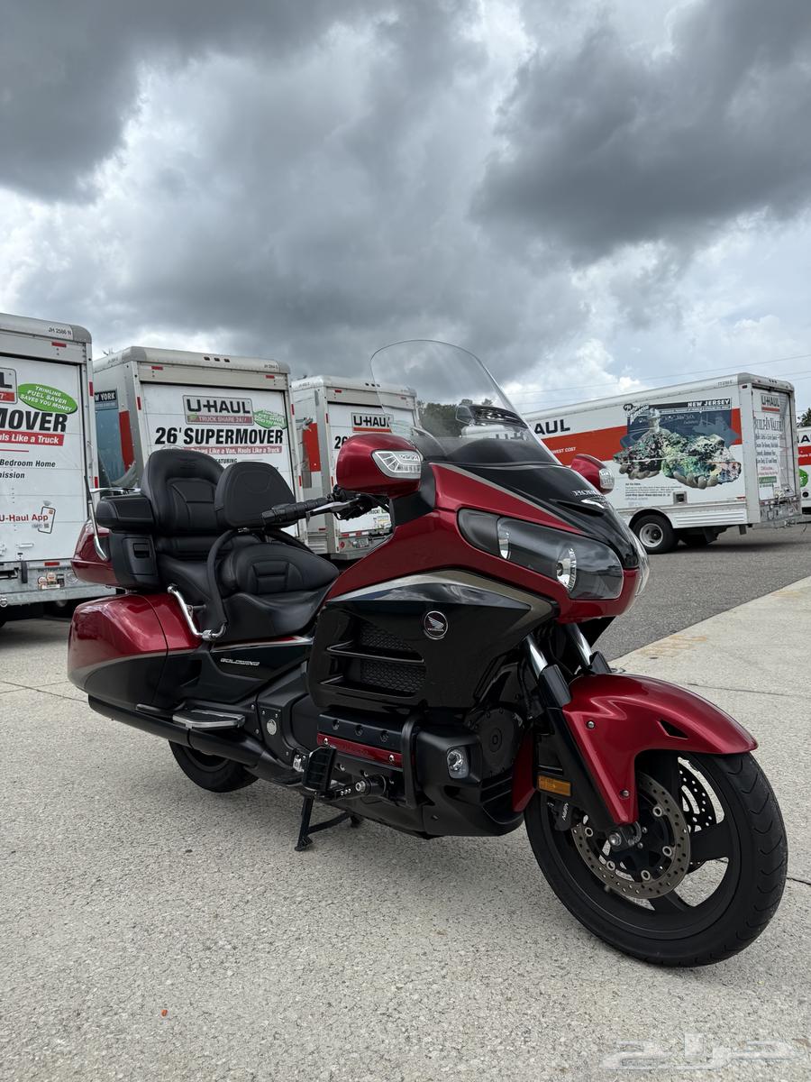 قولد وينق 201564371964851971113