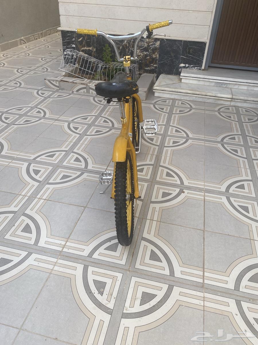 Yellow Cobra Cycle64141544242179111