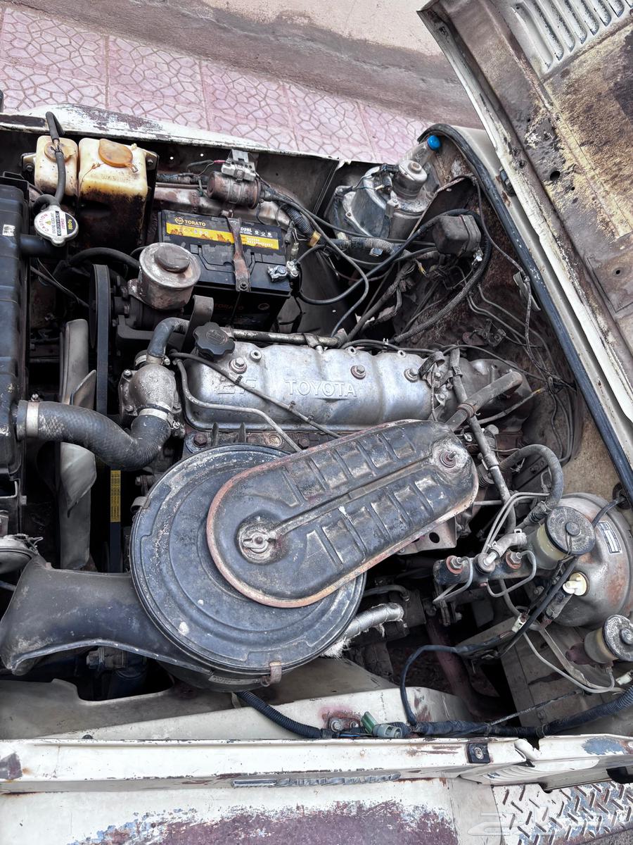 جيب مصندق 198464368193063043113