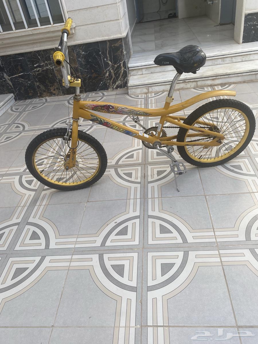 Yellow Cobra Cycle64141544242179113