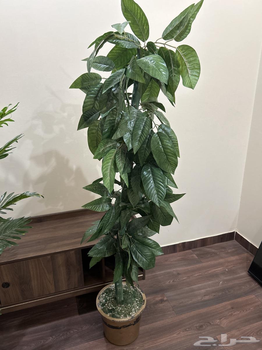 Artificial Trees64141540665475112