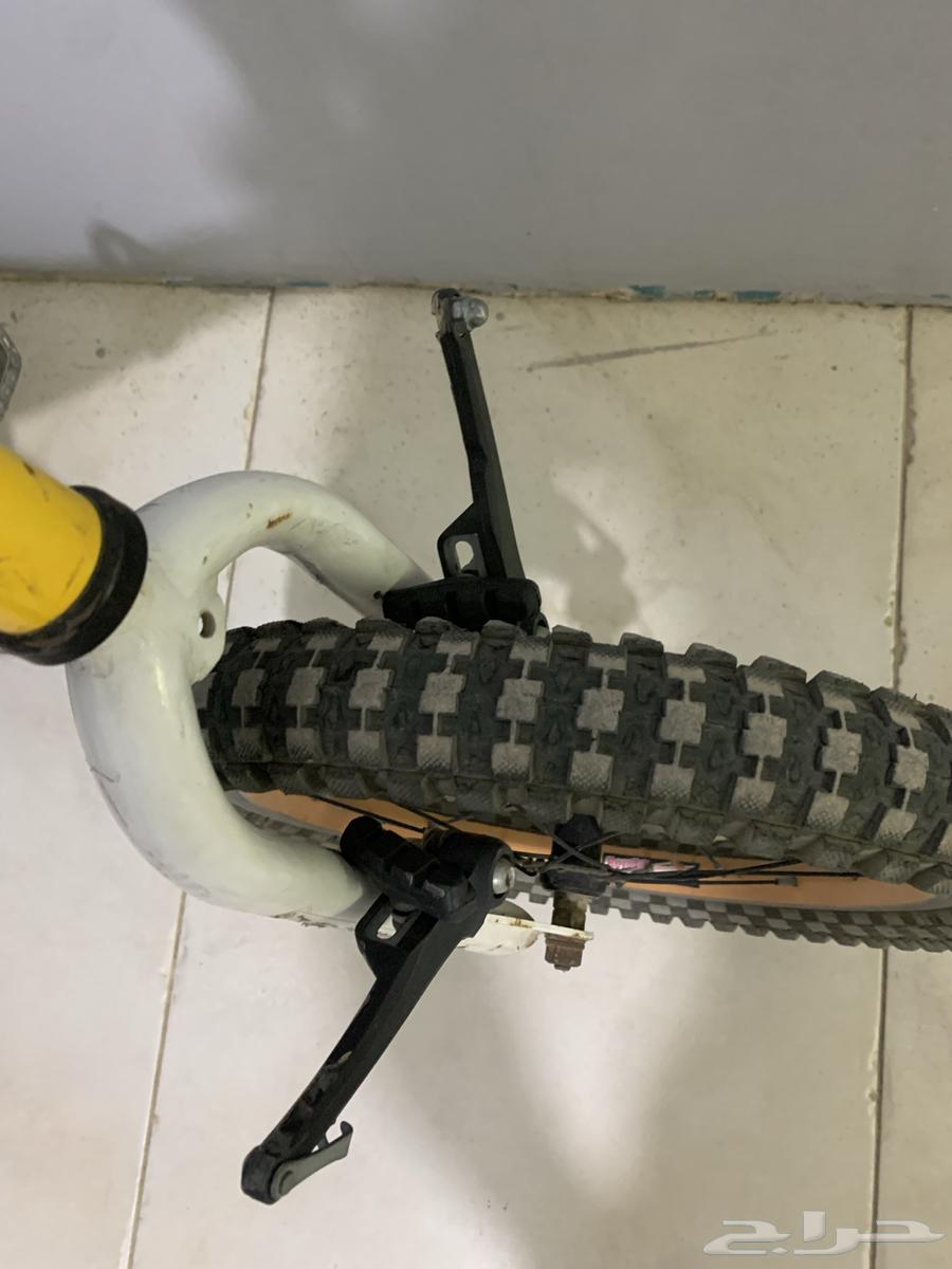 Ferrari small cycle64143478470659114