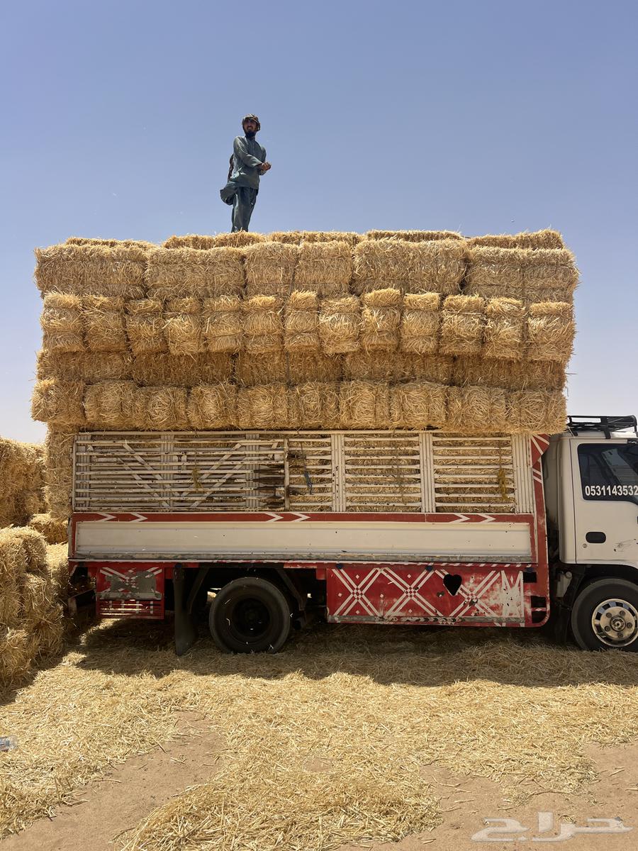 تبن بر صافي64141528750978110