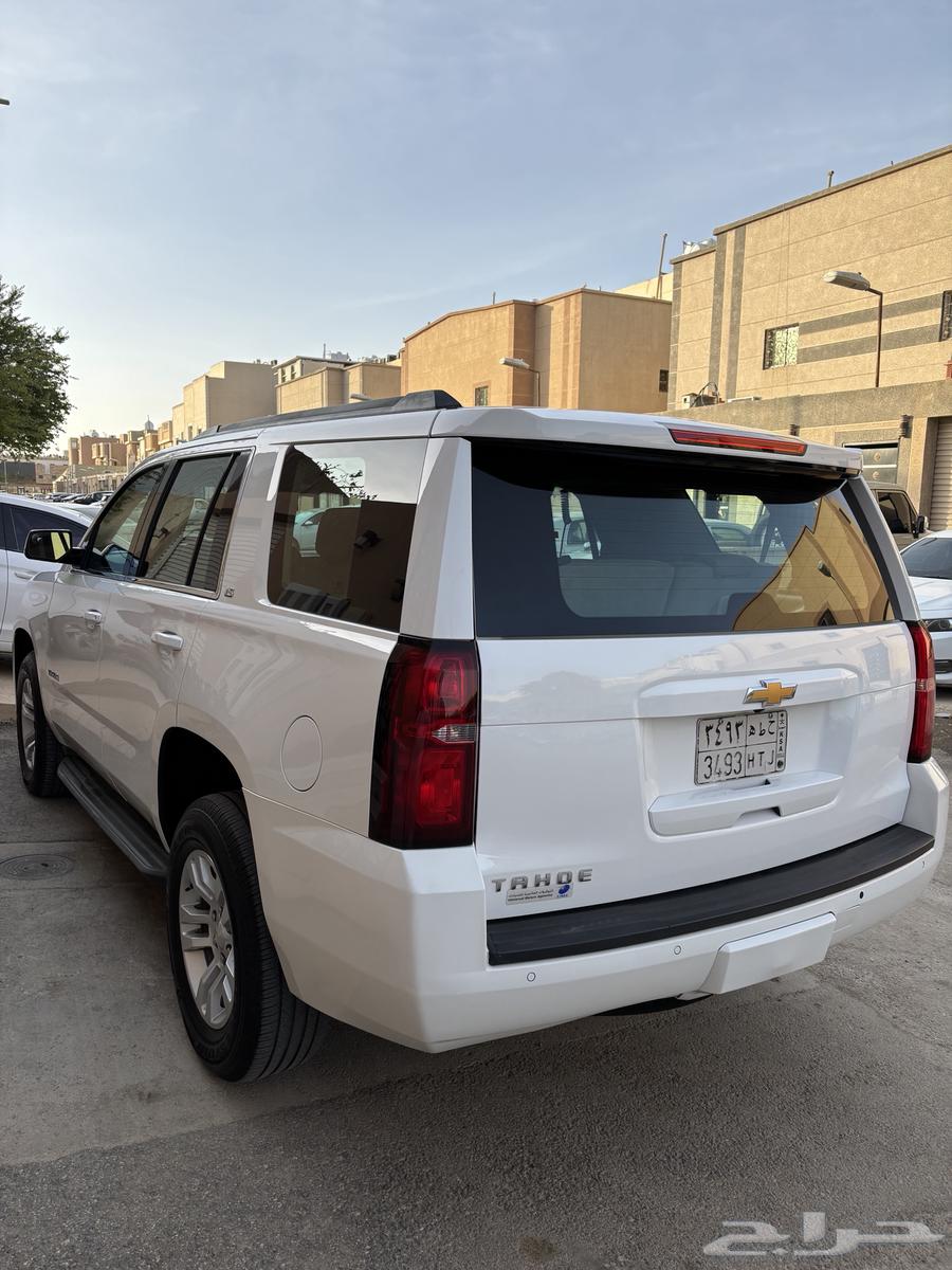 Tahoe 2015 Short64359864953987113