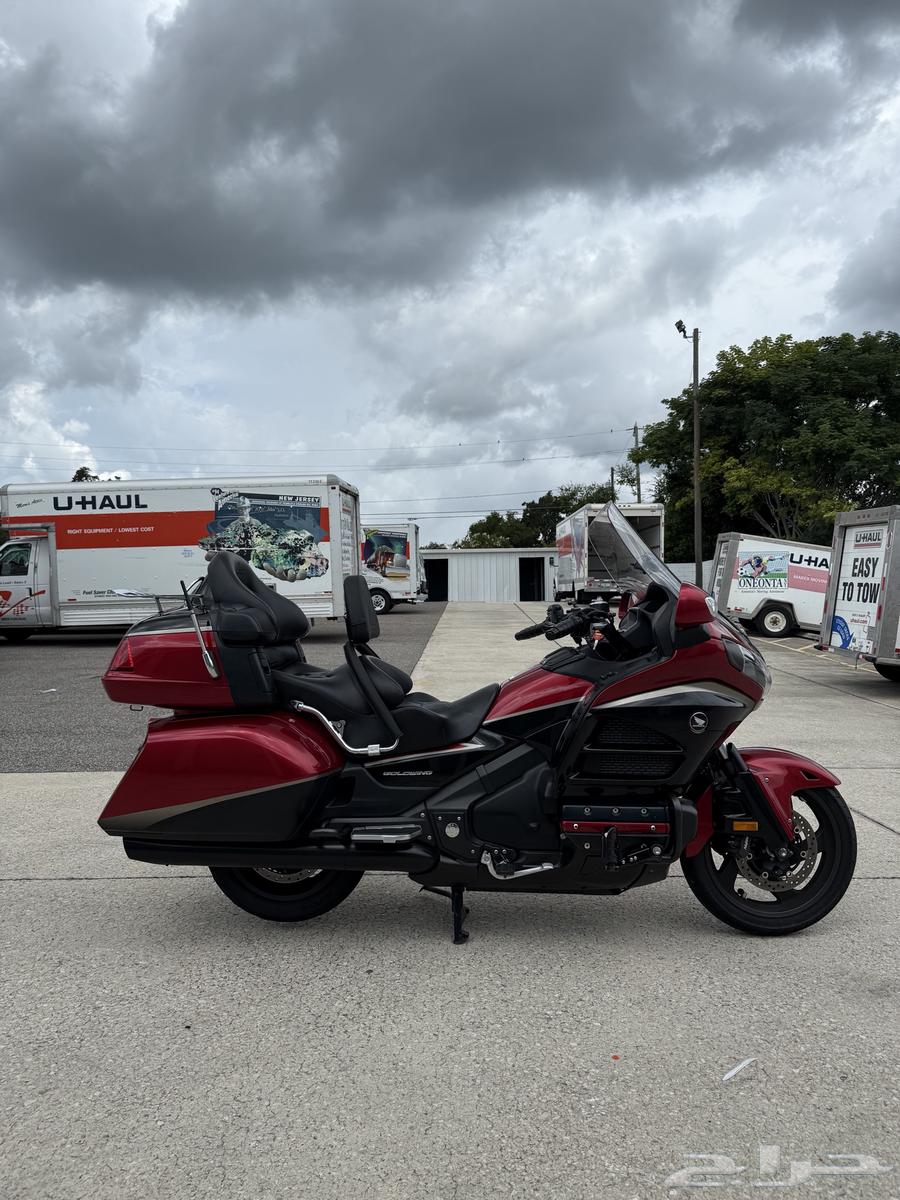 قولد وينق 201564371964851971111