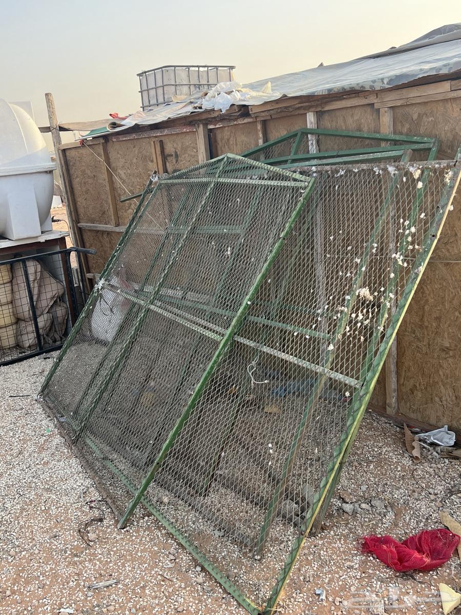 Shabak64360319632899110