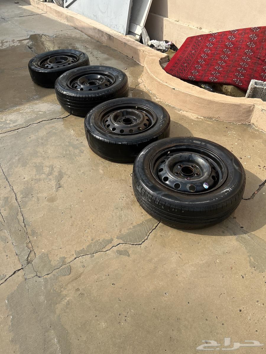 جنوط مقاس 1564365982999426114