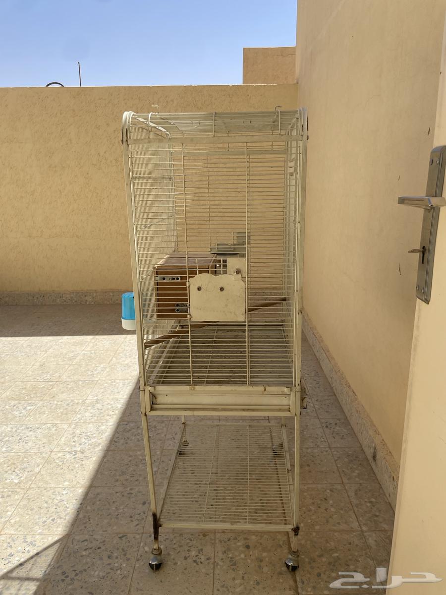 قفص طيور كبير للبيع64128642345985112