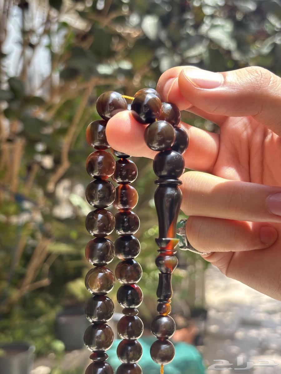 مسباح ترسة سلحفاء بحرية64141915986947110