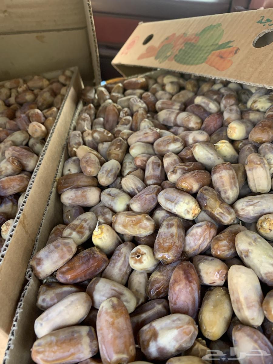 New dates for sale in Taif64127105374210113
