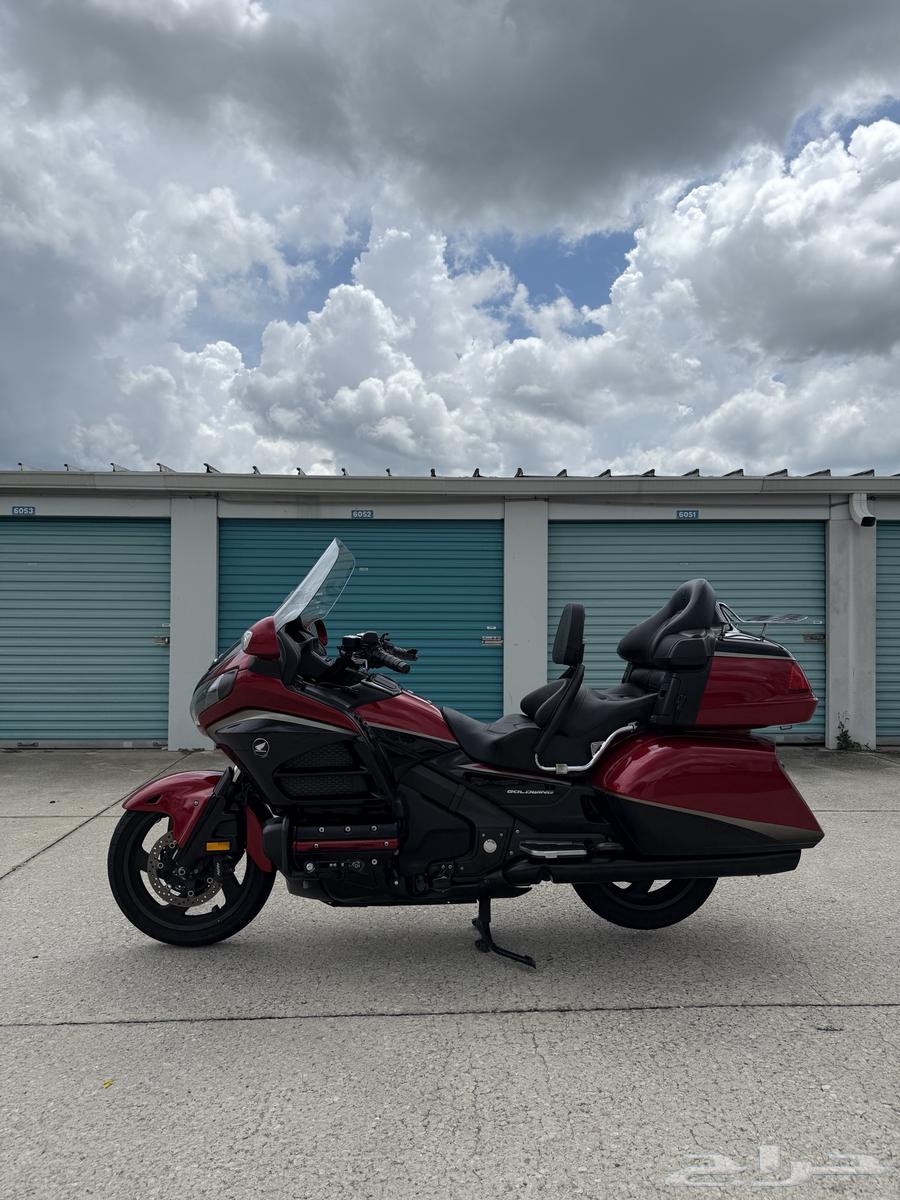 قولد وينق 201564371964851971110