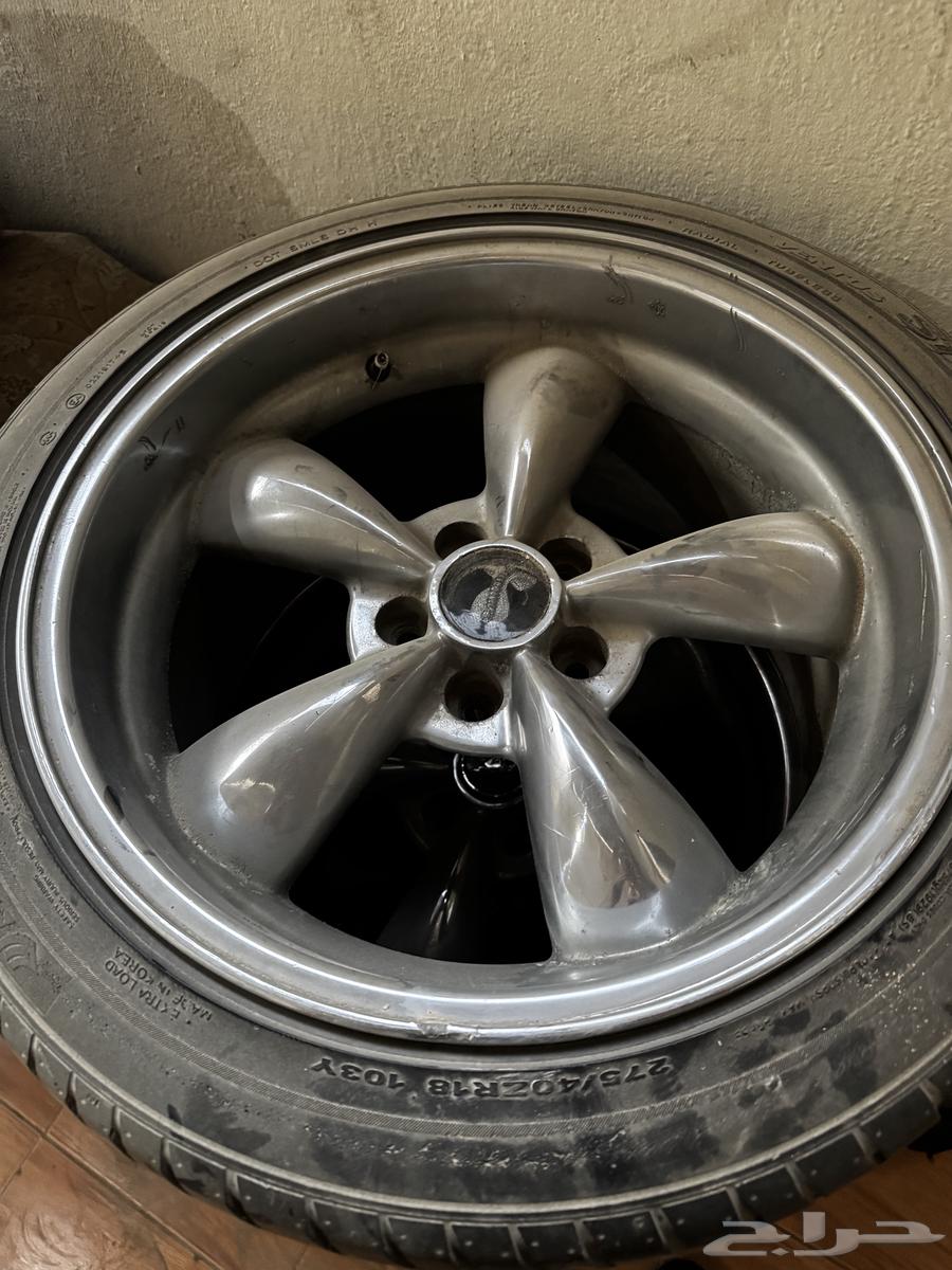 للبيع جنوط موستنق بوليت شمبر عريض64369454857731110