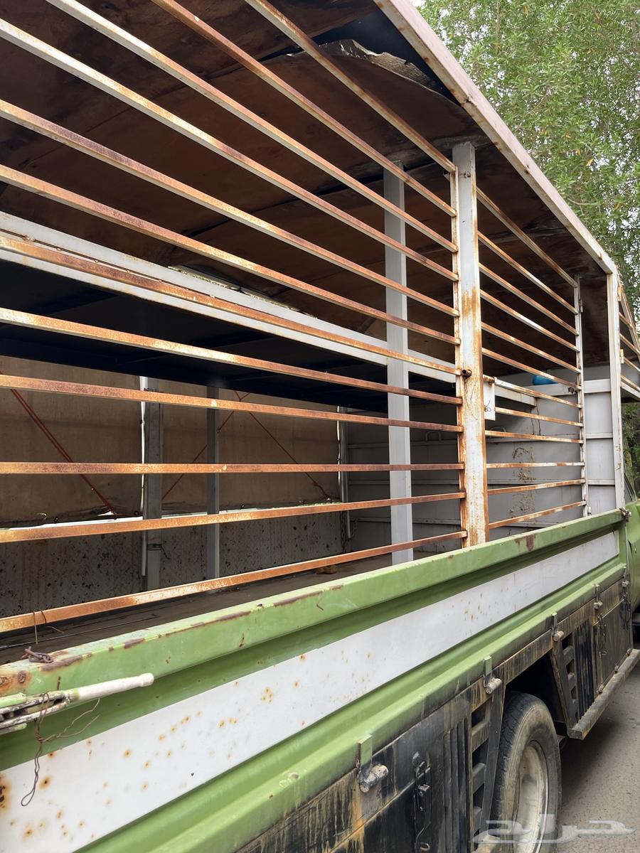 جمس نحل للبيع64364277418625114