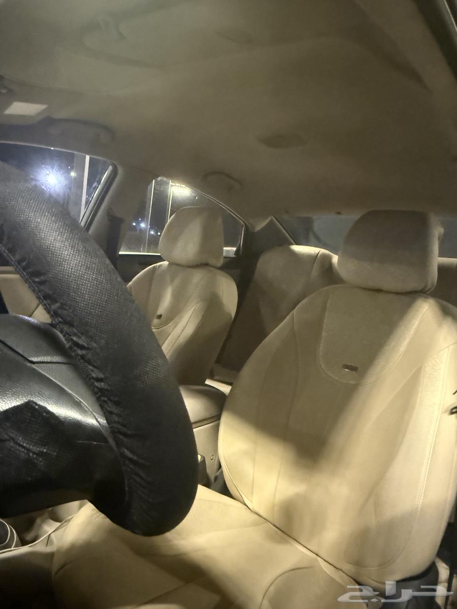 أكسنت للبيع64363472621314114