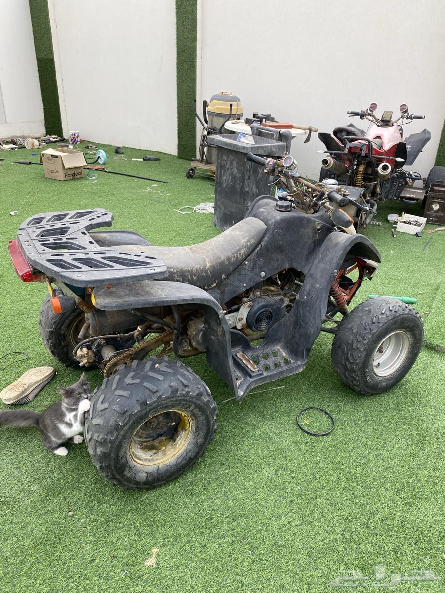 دباب سويدي للبيع64370957823491112