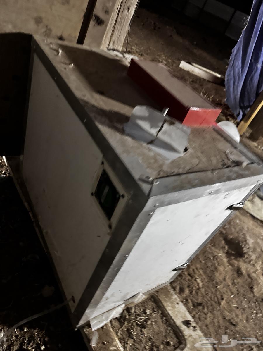 New agency egg incubator, official warranty available64143665864193111