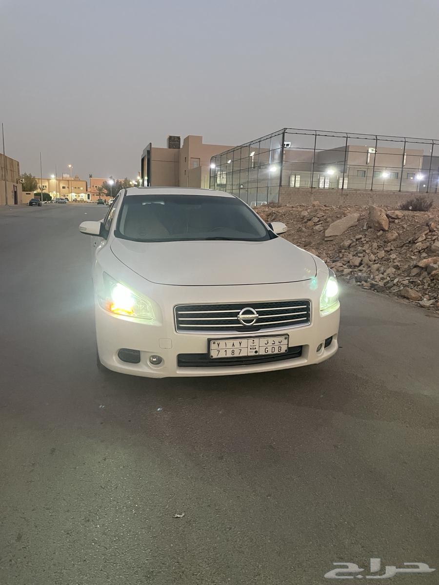 مكسيما للبيع 201064370583356545112