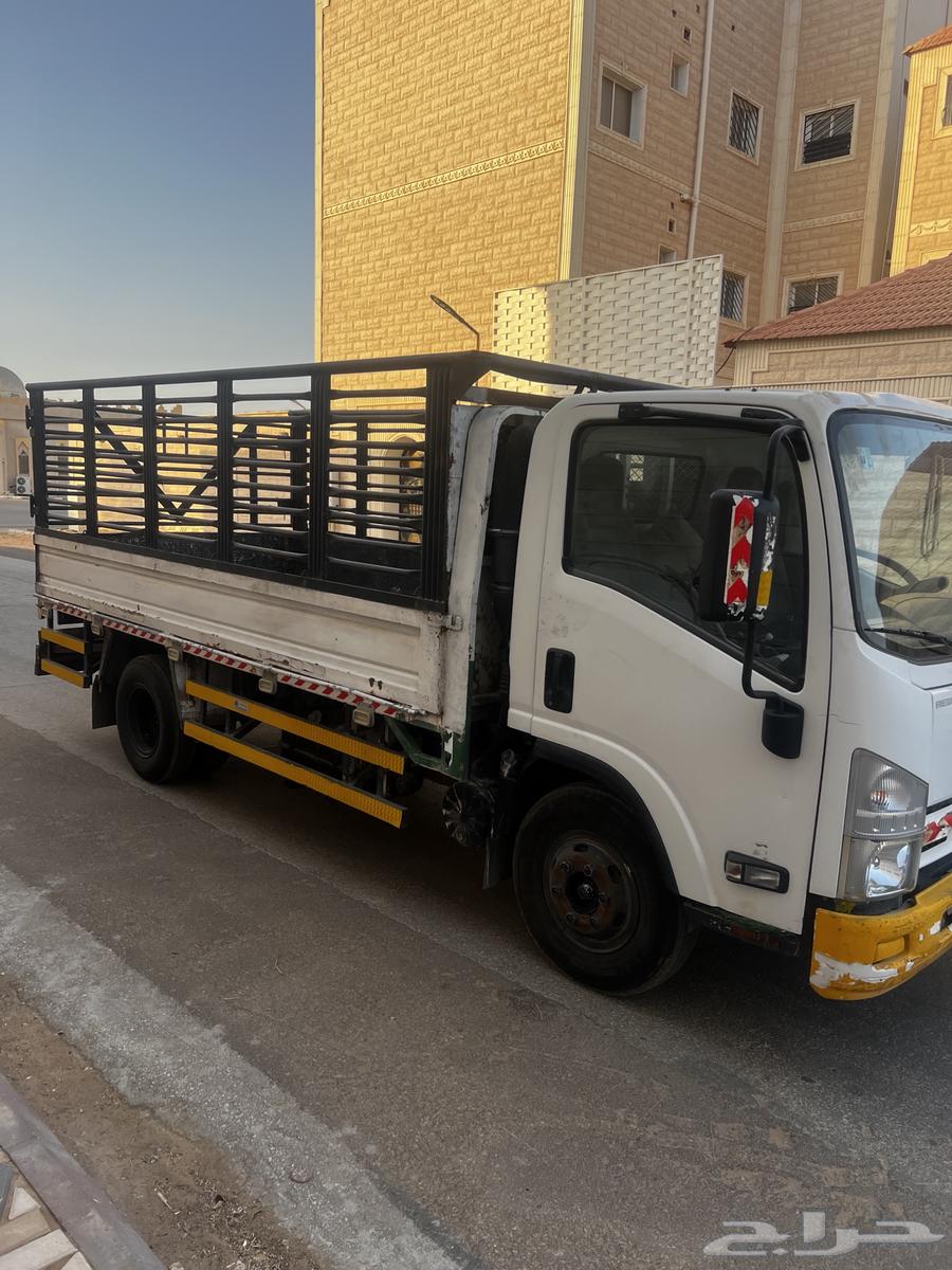 دينا ايسيزو201564371292406659112