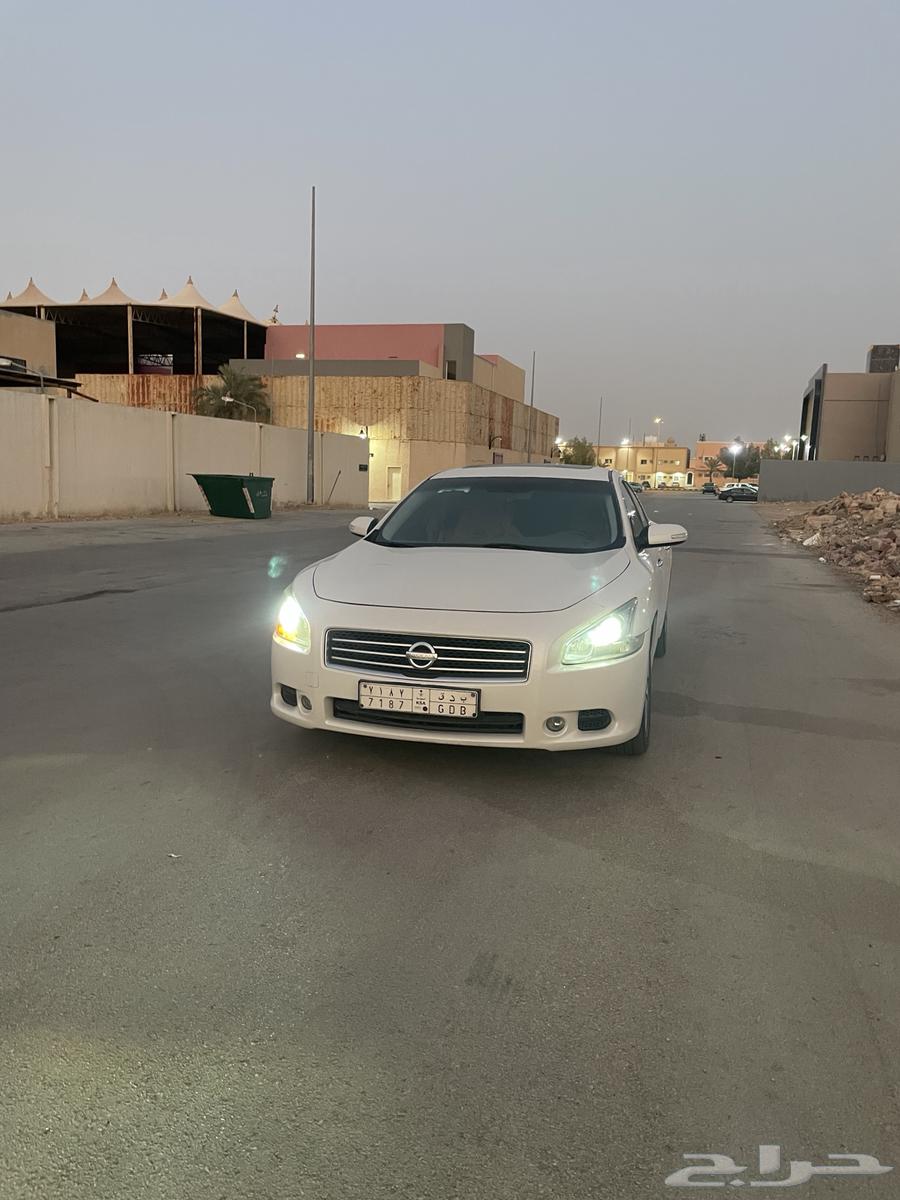 مكسيما للبيع 201064370583356545113