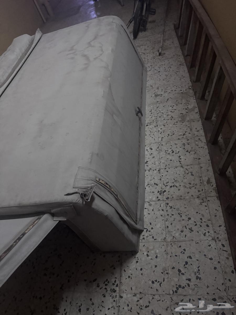 Shad Jams64365879695233111