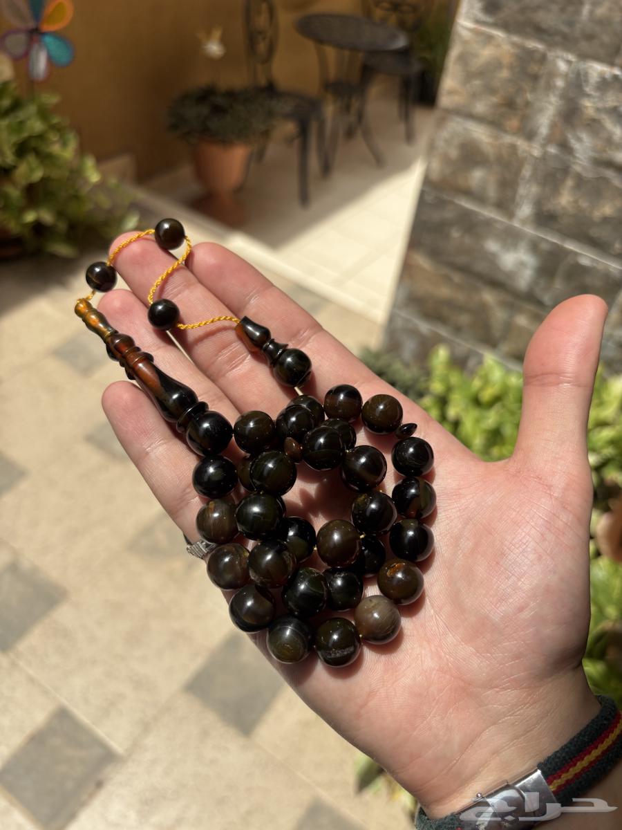 مسباح ترسة سلحفاء بحرية64141915986947112