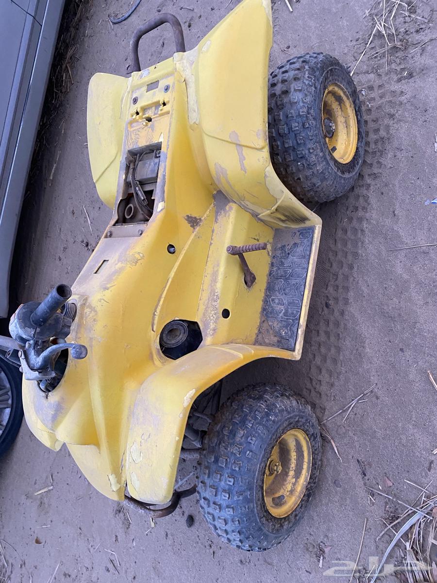 دباب للبيع64369732832002113