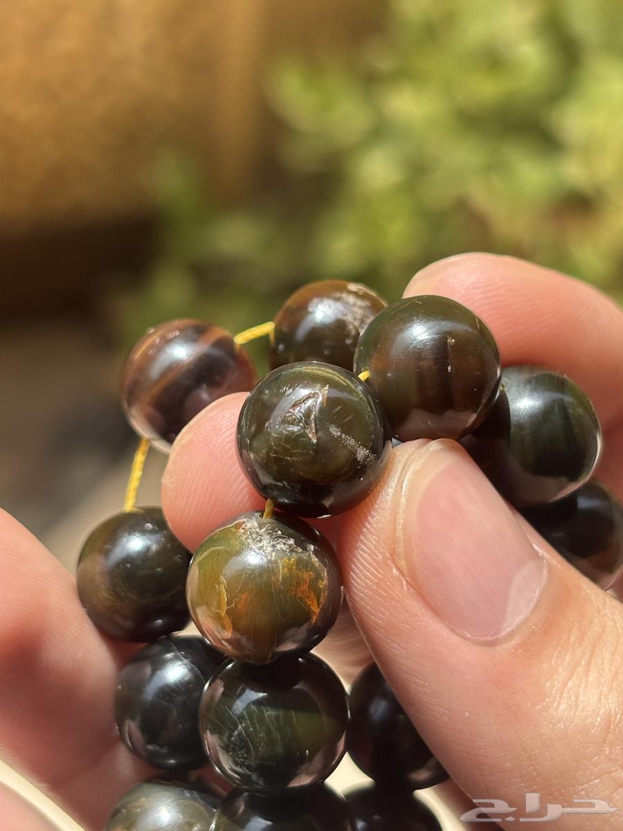 مسباح ترسة سلحفاء بحرية64141915986947114
